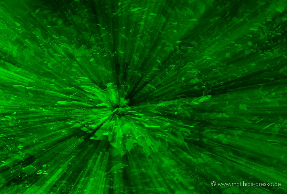 MSG_20080919210109__MSG0181 Kopie.jpg - Green Explosion